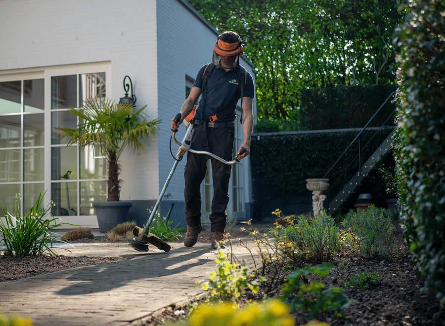 How to Prepare Your Lawn for Spring Clean Up and Maintenance